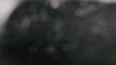 Dmitry online show from 03/11/25, 07:58