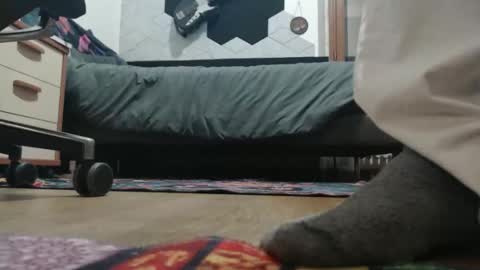 Snapshot of raccon68 chatting on 12/20/25, 07:32 Raccoon68 online show from 12/20/25, 07:32