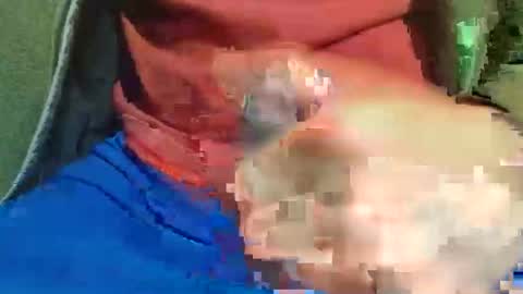 Raccoon68 online show from 05/01/26, 07:51