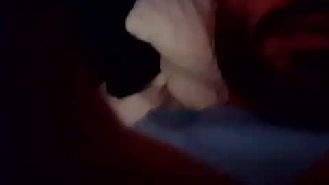 rago1994 online show from 10/05/25, 03:54