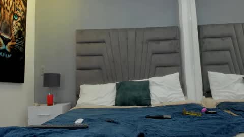 Snapshot of raphael_nyon chatting on 02/01/26, 04:00 Raphael Nyon online show from 02/01/26, 04:00