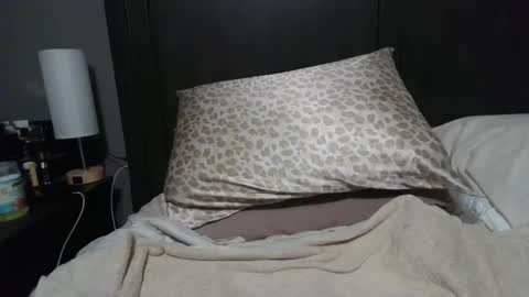 Snapshot of ravchat chatting on 01/23/25, 08:02 ravchat online show from 01/23/25, 08:02