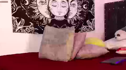 Raven online show from 03/13/26, 11:11