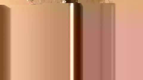 Snapshot of rawdogchewdog chatting on 11/26/25, 02:34 Mountain Man online show from 11/26/25, 02:34