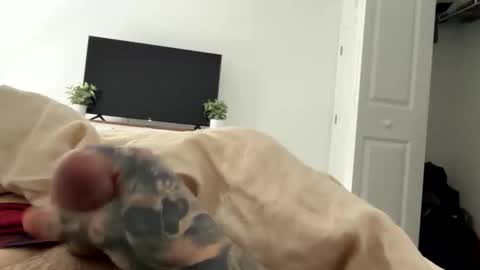 raws33x online show from 02/03/26, 03:50