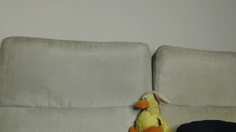 Ray  online show from 04/05/26, 11:40