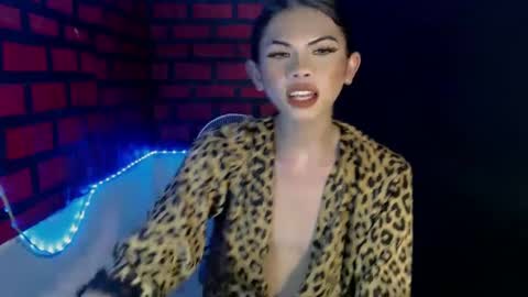 Snapshot of raze_fuckzx chatting on 12/11/24, 03:24 cindy online show from 12/11/24, 03:24