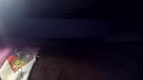 Snapshot of rcalty chatting on 10/14/25, 12:44 rcalty online show from 10/14/25, 12:44