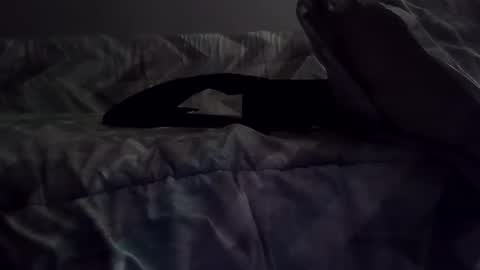 Snapshot of rcalty chatting on 11/10/25, 01:37 rcalty online show from 11/10/25, 01:37