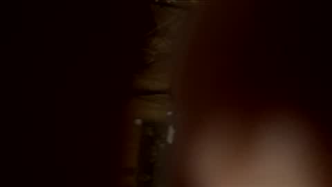 readyforu81 online show from 02/04/26, 05:57