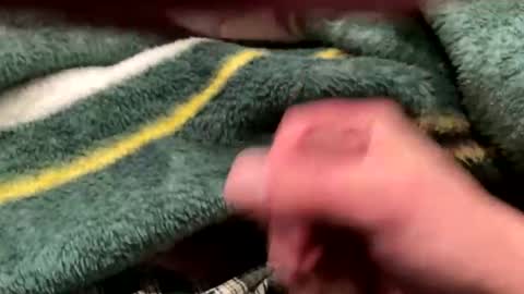 realbigload77 online show from 02/24/26, 04:32