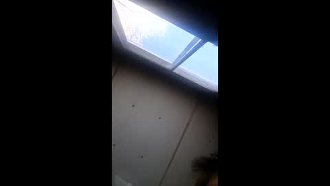 realisararebreed online show from 12/21/25, 05:42