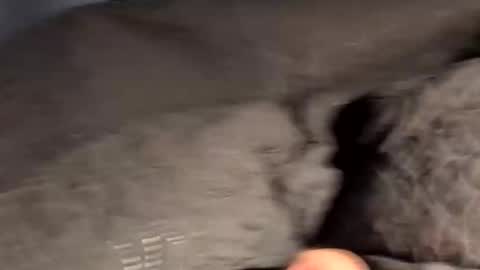 Snapshot of rebornbutbored chatting on 11/15/25, 11:40 rebornbutbored online show from 11/15/25, 11:40