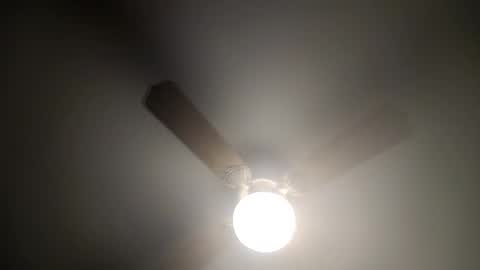 Snapshot of red24devils chatting on 02/14/25, 04:26 red24devils online show from 02/14/25, 04:26