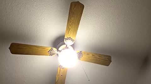 Snapshot of red24devils chatting on 09/12/25, 12:11 red24devils online show from 09/12/25, 12:11