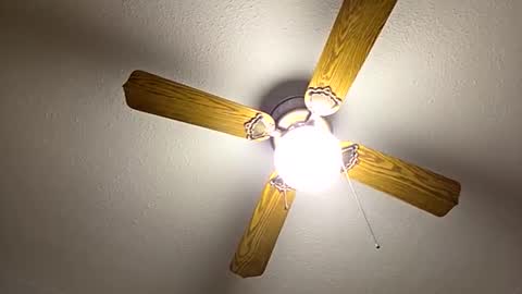 Snapshot of red24devils chatting on 09/22/25, 06:59 red24devils online show from 09/22/25, 06:59