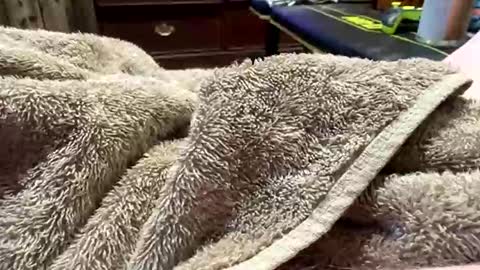 Red online show from 03/17/26, 02:38