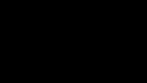 Snapshot of red_mok chatting on 10/24/25, 12:41 Neta online show from 10/24/25, 12:41