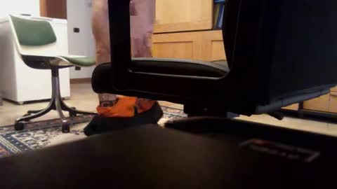 Snapshot of redbull3254 chatting on 12/02/25, 11:26 redbull3254 online show from 12/02/25, 11:26