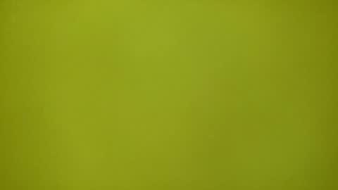 Redplume online show from 02/12/26, 11:16