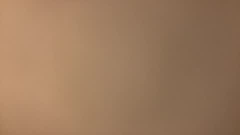 Redplume online show from 04/13/26, 08:03