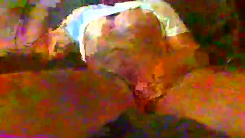 redtxchopper online show from 11/18/25, 01:33