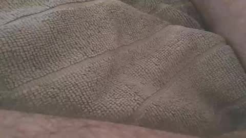 redwhiteblue_24 online show from 04/23/26, 10:45