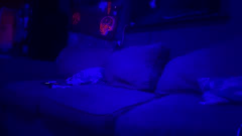 Lee online show from 03/10/26, 01:54