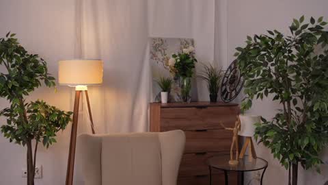 Snapshot of refined_style chatting on 12/19/24, 11:25 JessyinCherri yang online show from 12/19/24, 11:25