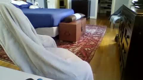 RegularGuyNOLA online show from 01/24/25, 06:14