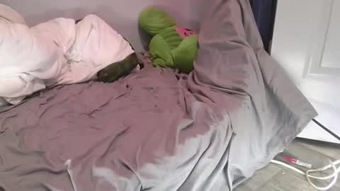 Snapshot of remshotdt chatting on 03/01/25, 07:59 remshotdt online show from 03/01/25, 07:59