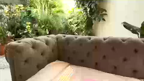 Snapshot of renata_gomez03 chatting on 09/13/25, 01:22 S T A C Y online show from 09/13/25, 01:22