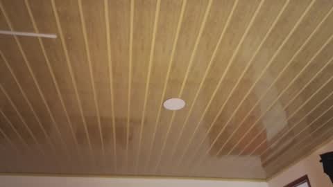 renaxi_smith online show from 12/20/25, 07:32