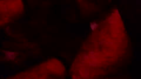 renuetto online show from 10/13/25, 05:40