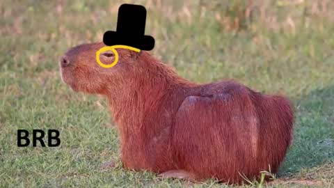 Chris online show from 02/16/26, 07:21