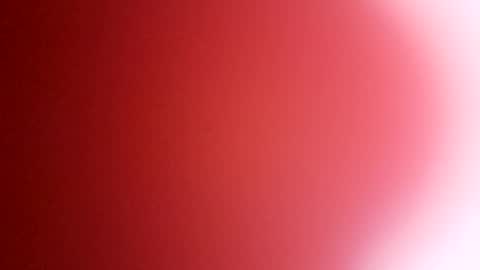 Snapshot of rhino69xx chatting on 12/08/24, 06:54 rhino69xx online show from 12/08/24, 06:54