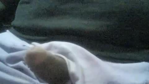 ricardo160291 online show from 01/06/25, 01:09