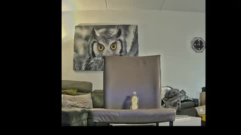 Snapshot of richard__076__ chatting on 04/03/26, 07:01 richard__076__ online show from 04/03/26, 07:01