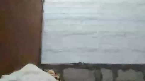 Snapshot of richebelle chatting on 05/10/26, 12:10 richebelle online show from 05/10/26, 12:10