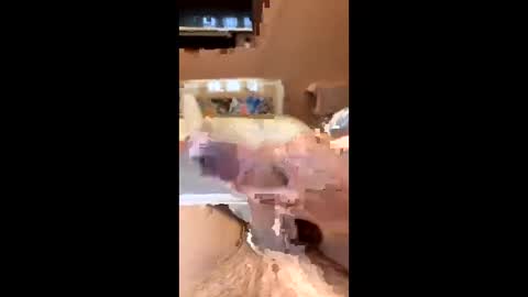 richmondal83 online show from 10/22/25, 03:01