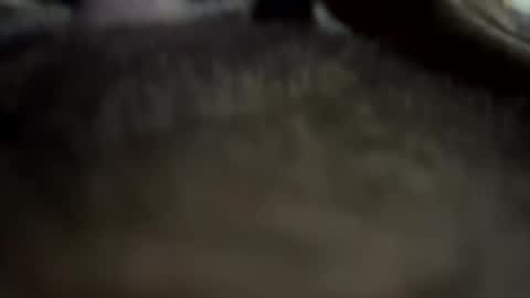 rick676413 online show from 03/27/26, 03:01