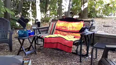 PINK HOLE TWINK online show from 09/14/25, 08:52