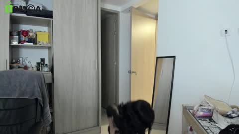 RickyDicot 13 online show from 09/27/25, 02:05