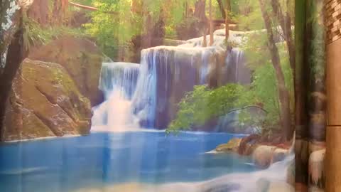 bwc daddy online show from 12/09/24, 09:48