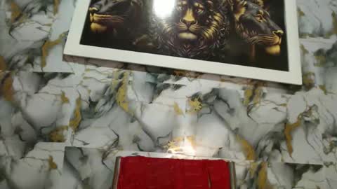 rigel online show from 02/24/26, 06:28