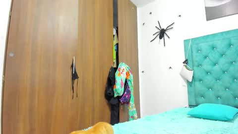 Rihanna hotx online show from 11/20/25, 09:20