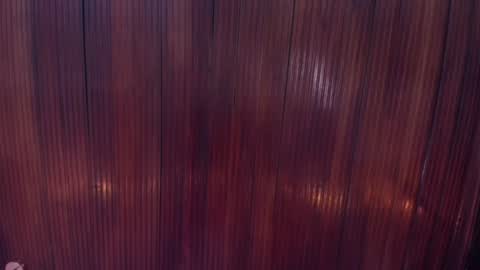 Snapshot of riley_reid_19 chatting on 12/16/24, 02:05 kamila online show from 12/16/24, 02:05