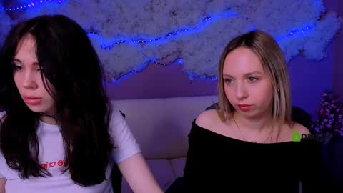 Meow online show from 03/24/26, 08:36