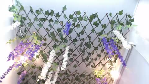 Risitos De Oro online show from 04/19/26, 10:12