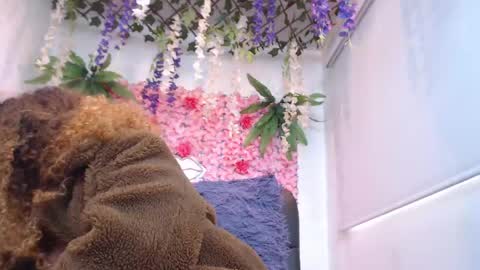 Risitos De Oro online show from 04/20/26, 06:31